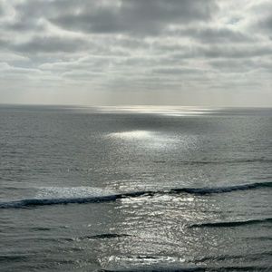 Meet your Posher, Eva